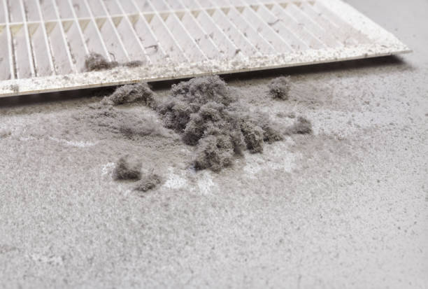 Best Home Air Vent Cleaning  in County Center, VA